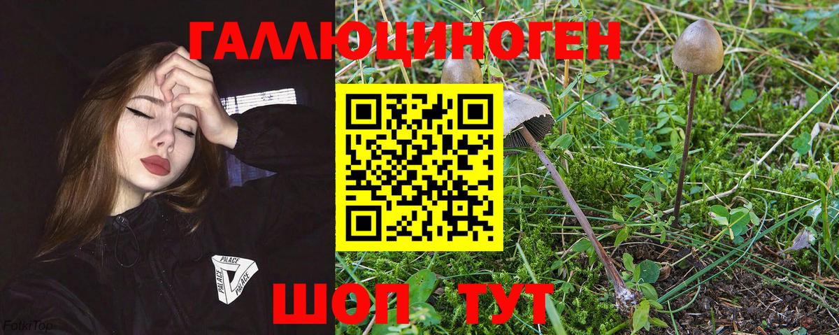 Галлюциногенные грибы прущие грибы Ногинск