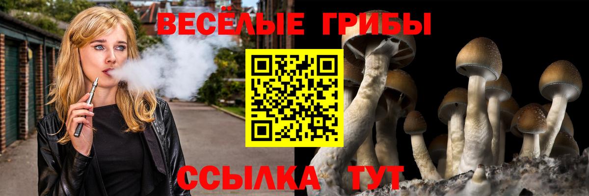 Ногинск  Галлюциногенные грибы мицелий  Вход с VPN 